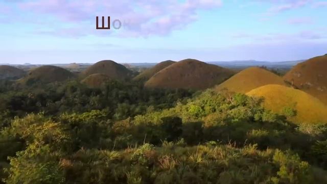 Академия английского языка BESTA. Давайте знакомиться! смотреть онлайн