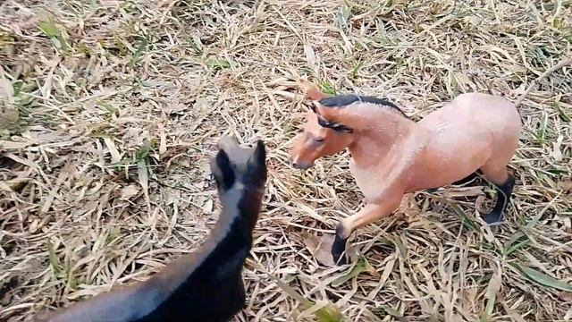 шляйх сериал "дикий" 1 серия смотреть онлайн