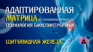 Щитовидная железа 🎶 программа матрица по технологии Гаряева П.П ☀️ SoftRadio.ru