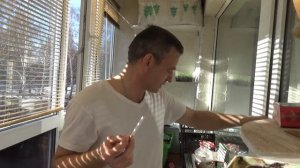 Сорт Куманово