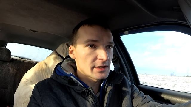 Новый крол смотреть онлайн