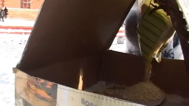 Зимние акции смотреть онлайн