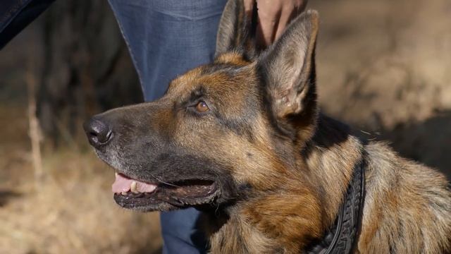 Гречанка 33 смотреть онлайн