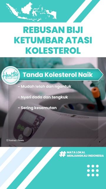 Minum Minuman Air Rebusan Biji Ketumbar Mampu Atasi Kolesterol, Begini Cara Tepat untuk Membuatnya смотреть онлайн