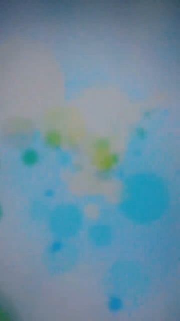 Animals In German. Part 1. German For Beginners