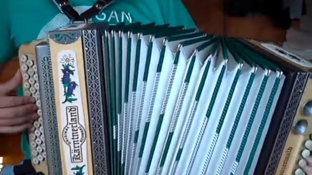 Im schönen Mellau - Steirische Harmonika смотреть онлайн