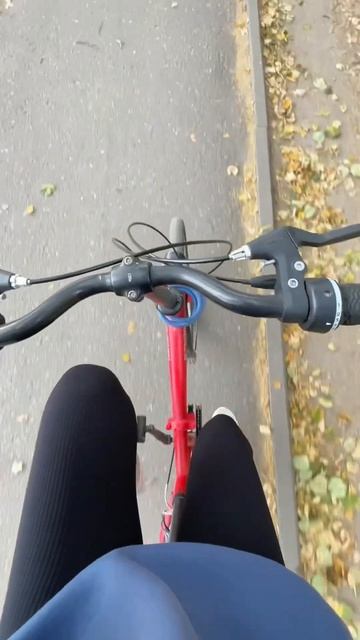 Что я ем, когда некогда? #рецепты #еда #меню #дом #пп смотреть онлайн