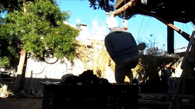 To Build A Fire By Jack London: Summary/Analysis