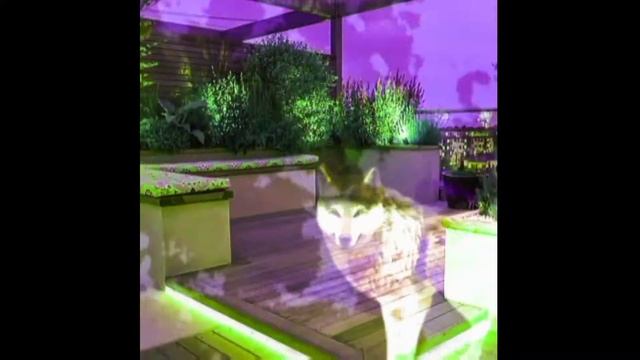 wcmv бабл гам смотреть онлайн