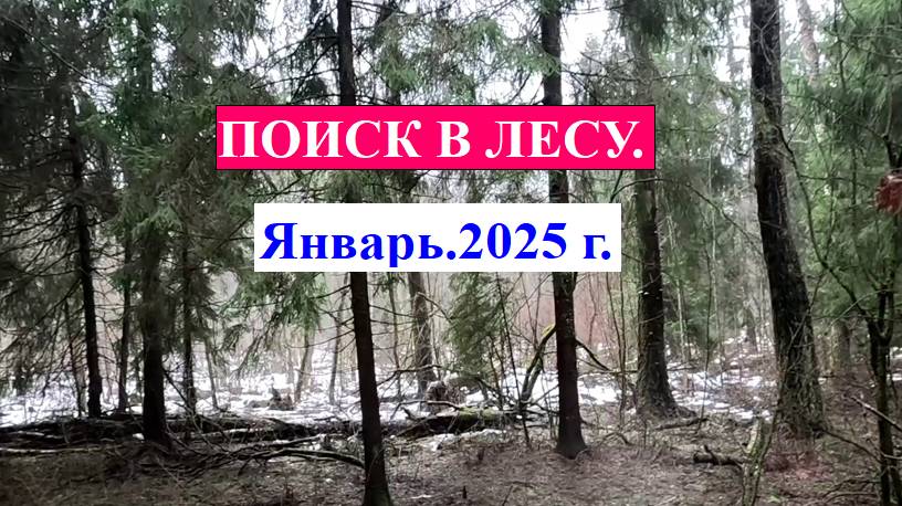 Поискали в лесу.