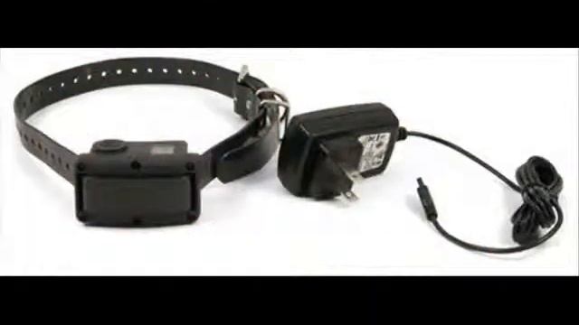 SportDOG Rechargeable NoBark 10R Bark Control Collar|Bark control|B00173CWDW смотреть онлайн