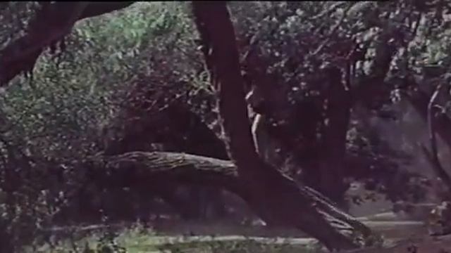 Приключения Доврана, Döwranyň Başdan Geçirenleri, реж. Мурад Курбанклычев 1969 – Туркменфильм