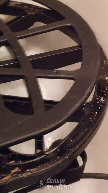 Minelab Manticore что внутри рёбер катушки? смотреть онлайн