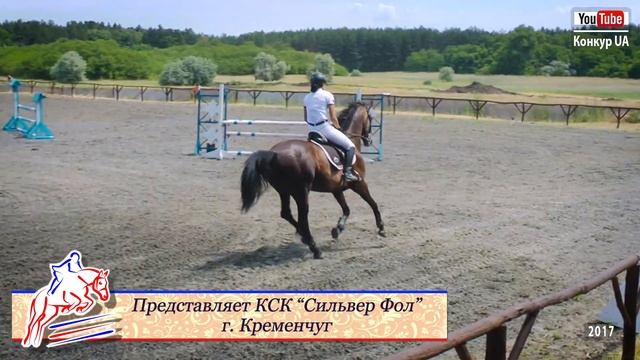 100 см. Открытый класс. Конкур в Царичанке. СФХ "Лелеки". 17.06.2017 г. смотреть онлайн