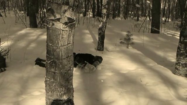 Повесть о настоящем человеке смотреть онлайн