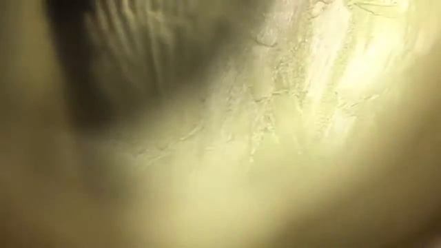 Кулон я люблю тебя на 100 языках - проверка. Я была в шоке! (серьезно) смотреть онлайн