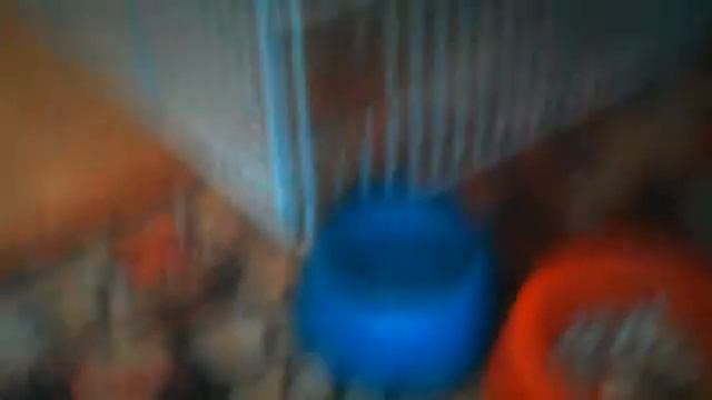 корм и вода для хомяка смотреть онлайн