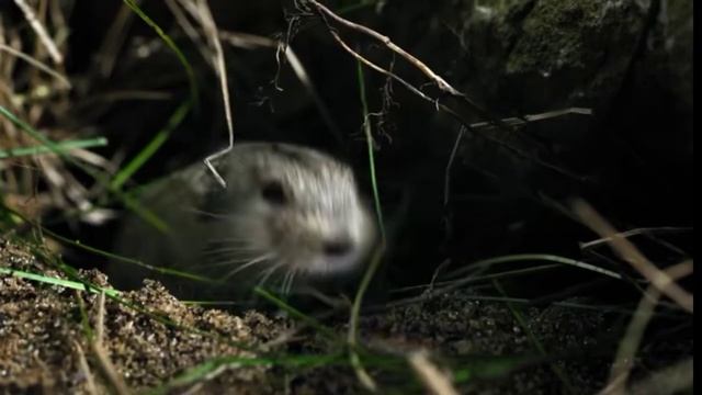 ДЛЯ ЧЕГО ДОБЫВАЮТ ПОЛЕЗНЫЕ ИСКОПАЕМЫЕ смотреть онлайн