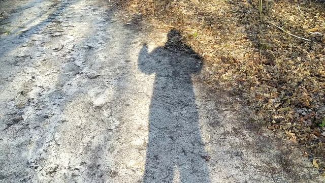 Моя тень меня не слушает смотреть онлайн
