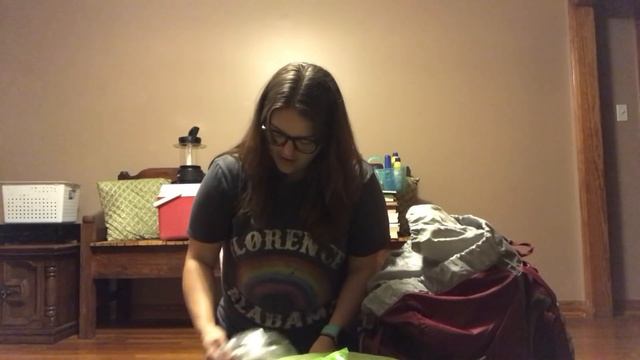 Bonnaroo 2018 Pack List & Camp Set Up смотреть онлайн