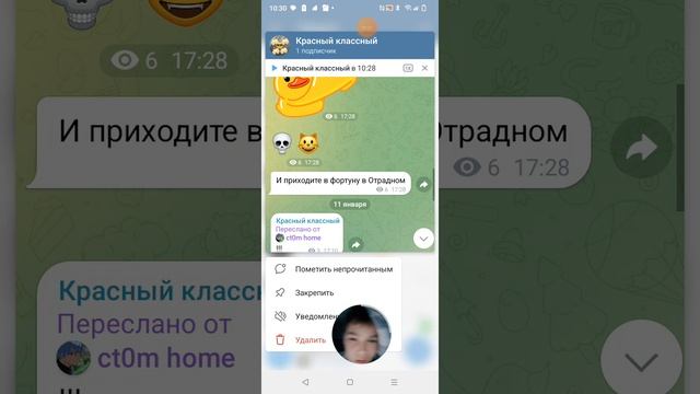 телеграм смотреть онлайн