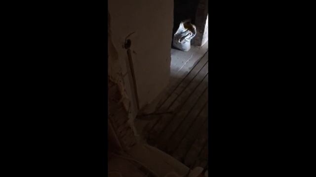 Монтаж нагрівального кабеля в штробу @teplyypolkievua смотреть онлайн