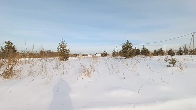 Video.Guru_20250128_035137591 смотреть онлайн