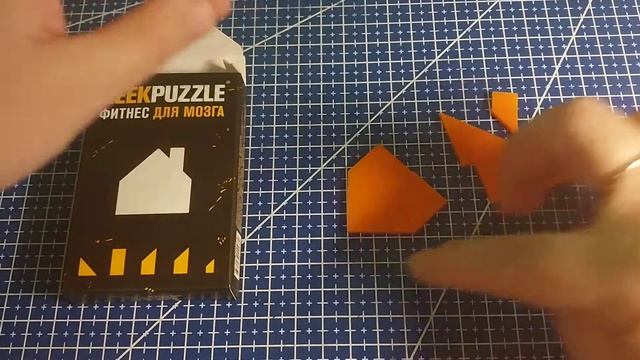 Собрать IQ Puzzle Домик из 5 деталей (Arrange The HOUSE Out Of Pieces)