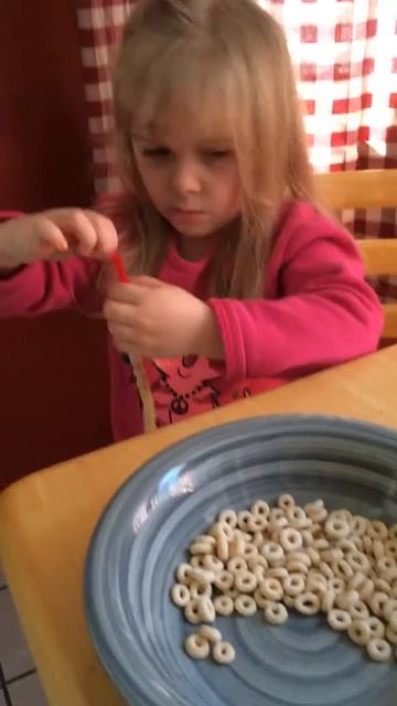 How to video. Cheerio bird feeder. Great for preschoolers. #birdfeeder #cheerios #cheerio смотреть онлайн