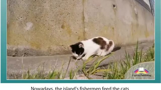 Excel 8 Module 7 Island destination p 80 смотреть онлайн