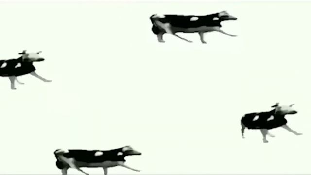 сам пердоля