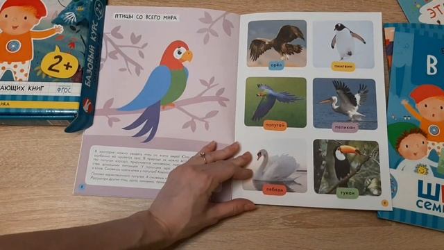 Обзор! Новинка. Базовый курс. Школа семи гномов. Окружающий мир. 2+ смотреть онлайн