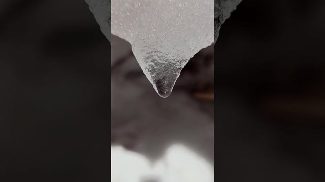 Весенняя капель