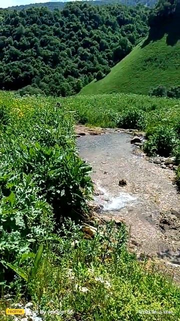 Гришкина балка. Окраина плато Бермамыт смотреть онлайн