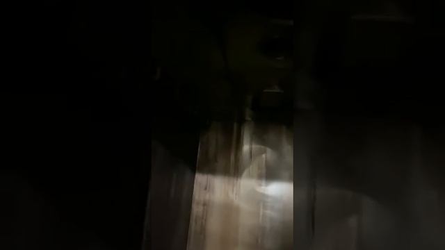 Камера коптильная смотреть онлайн