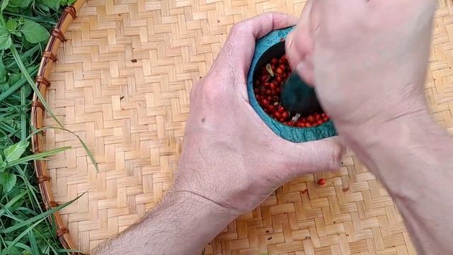 Sumac-ade: a refreshing drink made from wild sumac fruits. смотреть онлайн
