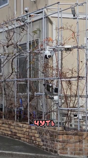 Как японцы заботятся о своей безопасности... смотреть онлайн