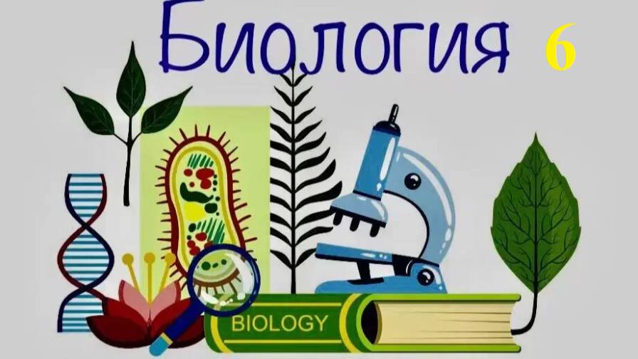 28.01_Обобщение по Цветковым смотреть онлайн