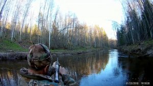 Охота на медведя