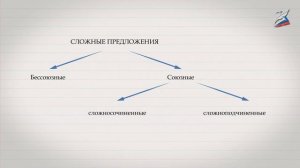 Союзные сложные предложения. Бессоюзные сложные предложения