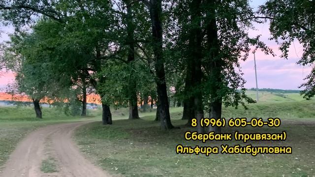 Ай нурлары шаһит 24 бүлек. Яңа хикәя.