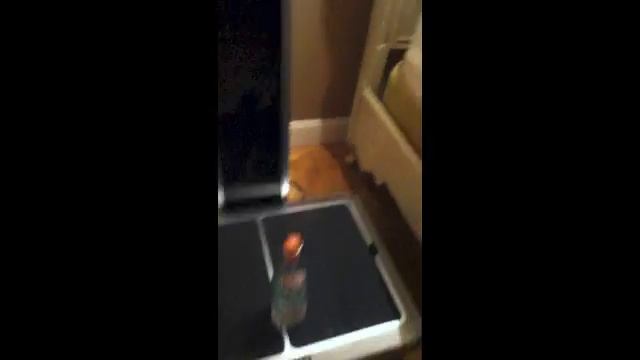 bottle on spiral vibration machine смотреть онлайн