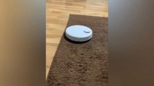 Отзывы о Робот-пылесосе Xiaomi Mi Robot Vacuum S10