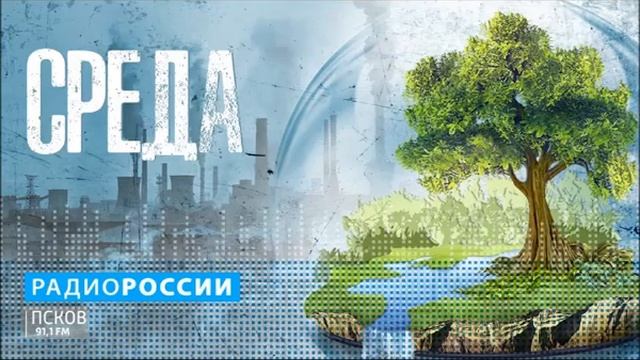 Среда. День орнитолога. Выпуск 19.02.20 смотреть онлайн