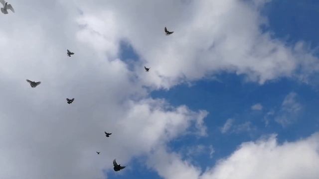 28 марта 2023 г. смотреть онлайн