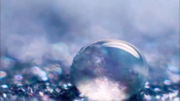 БИОНИКА  видеоурок по биологии