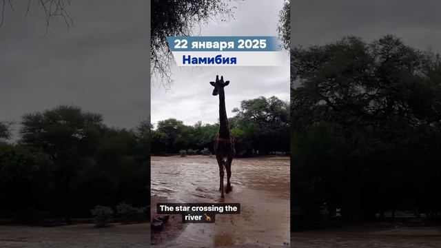 Природные катаклизмы за день 22 января 2025 года. смотреть онлайн