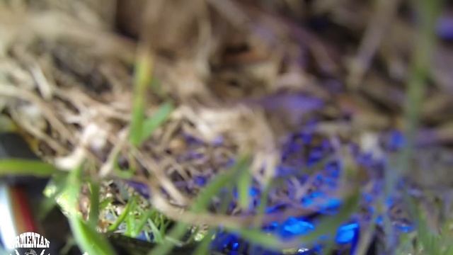 Crash Compilation Clips X-Hover смотреть онлайн