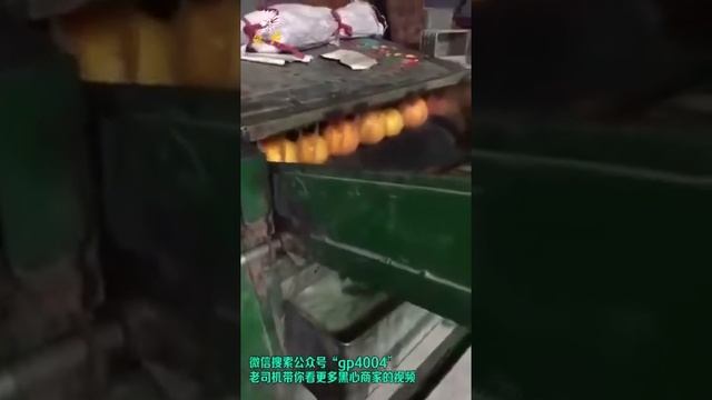 Китайские фрукты смотреть онлайн