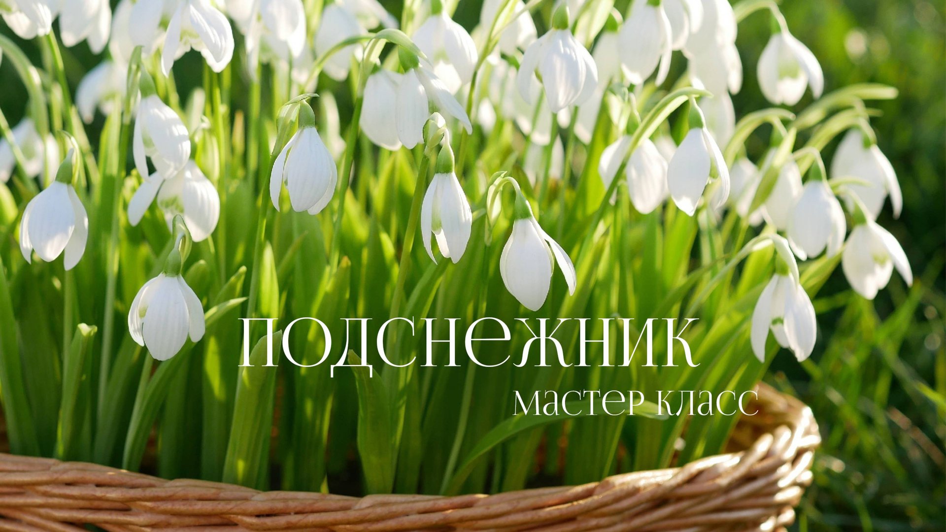 Подснежник из холодного фарфора мастер класс смотреть онлайн